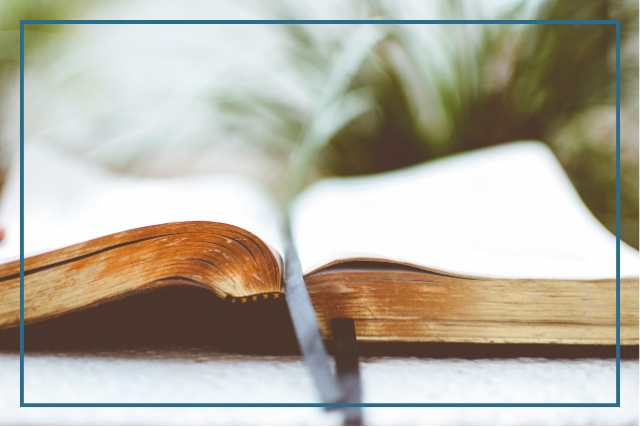 Image Bible - OSE
